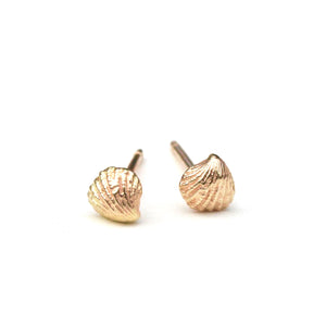 Mini Seashell Studs