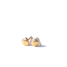 Load image into Gallery viewer, Mini Seashell Studs