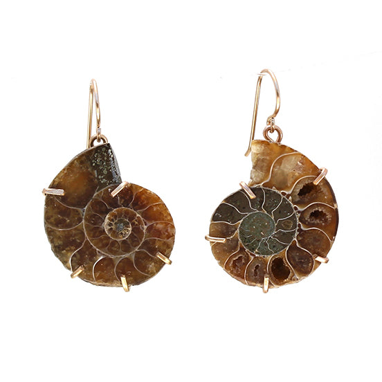 Fossil earrings online