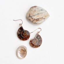 Load image into Gallery viewer, Ammonite Fossil Earrings
