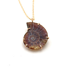 Load image into Gallery viewer, Ammonite Fossil Necklace