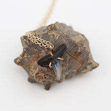 Load image into Gallery viewer, Fossilized Shark Tooth Necklace