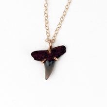 Load image into Gallery viewer, Fossilized Shark Tooth Necklace